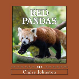 Könyv Red Pandas: Shy Forest Dwellers Claire Johnston