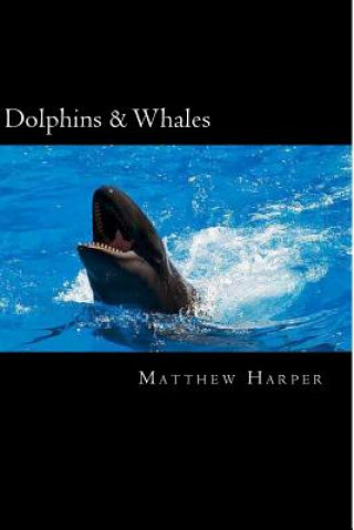 Knjiga Dolphins & Whales: A Fascinating Book Containing Dolphin & Whale Facts, Trivia, Images & Memory Recall Quiz: Suitable for Adults & Childr Matthew Harper