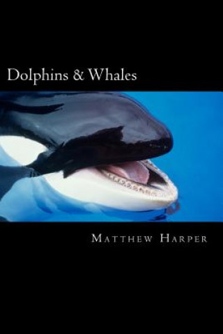 Kniha Dolphins & Whales: A Fascinating Book Containing Dolphin & Whale Facts, Trivia, Images & Memory Recall Quiz: Suitable for Adults & Childr Matthew Harper