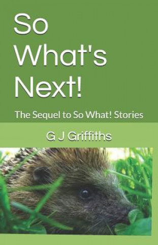 Kniha So What's Next!: The Sequel to So What! Stories G J Griffiths