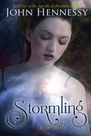 Книга Stormling John Hennessy
