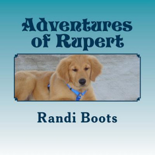 Carte Adventures of Rupert: Roo's New Day Randi Boots