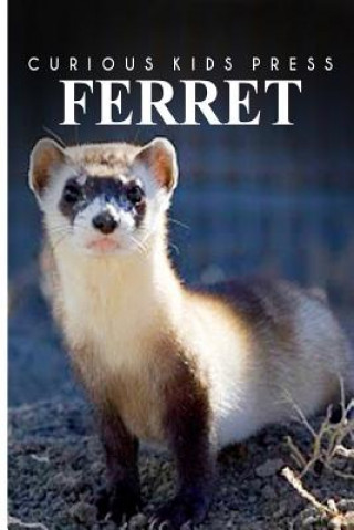 Könyv Ferret - Curious Kids Press: Kids book about animals and wildlife, Children's books 4-6 Curious Kids Press