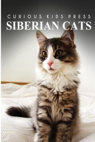 Kniha Siberian Cats - Curious Kids Press: Kids book about animals and wildlife, Children's books 4-6 Curious Kids Press