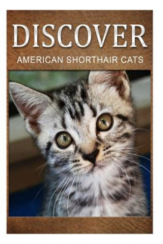 Книга American Shorthair Cats - Discover: Early reader's wildlife photography book Discover Press