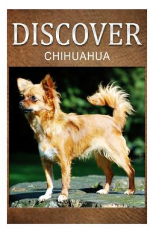 Kniha Chihuahua - Discover: Early reader's wildlife photography book Discover Press