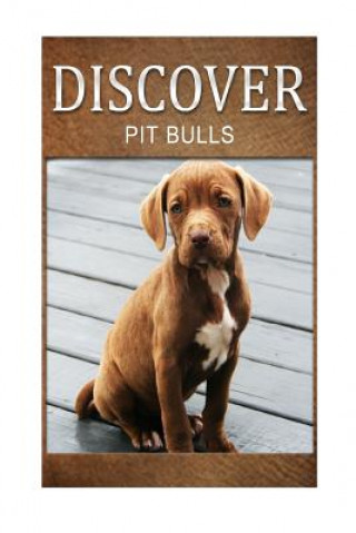 Kniha Pit bull - Discover: Early reader's wildlife photography book Discover Press