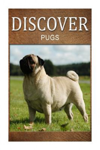 Kniha Pugs - Discover: Early reader's wildlife photography book Discover Press