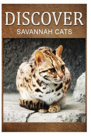 Kniha Savannah Cats - Discover: Early reader's wildlife photography book Discover Press