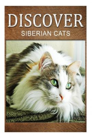 Carte Siberian Cats - Discover: Early reader's wildlife photography book Discover Press
