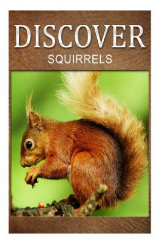 Libro Squirrel - Discover: Early reader's wildlife photography book Discover Press