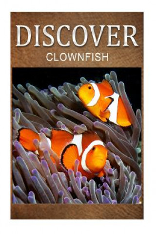 Könyv Clown Fish - Discover: Early reader's wildlife photography book Discover Press
