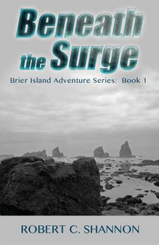 Kniha Brier Island Adventure Series/Beneath The Surge MR Robert C Shannon