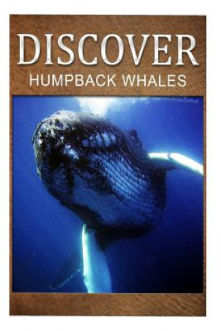 Könyv Humpback Whales - Discover: Early reader's wildlife photography book Discover Press