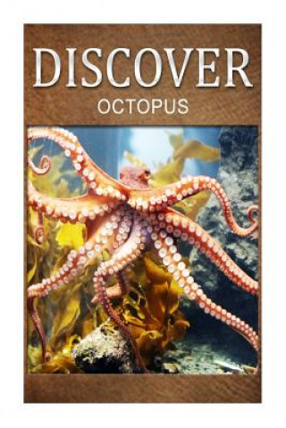 Knjiga Octopus - Discover: Early reader's wildlife photography book Discover Press