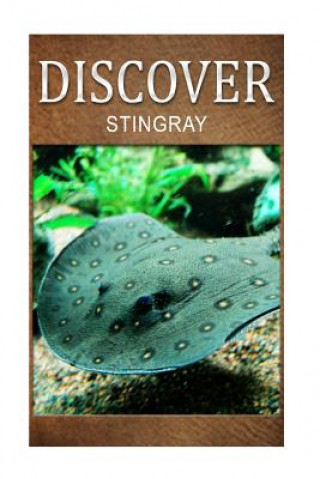 Könyv Stingray - Discover: Early reader's wildlife photography book Discover Press