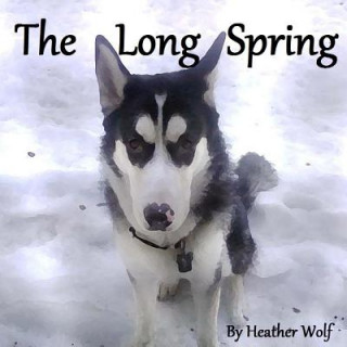 Kniha The Long Spring Heather Wolf