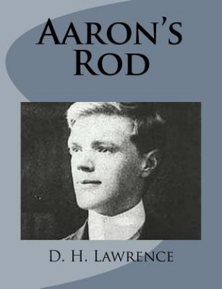 Książka Aaron's Rod D H Lawrence