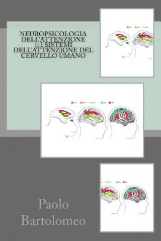 Carte Neuropsicologia dell'attenzione 1: I sistemi dell'attenzione del cervello umano Paolo Bartolomeo