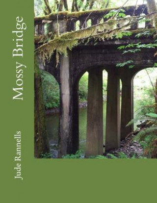 Βιβλίο Mossy Bridge Jude Rannells