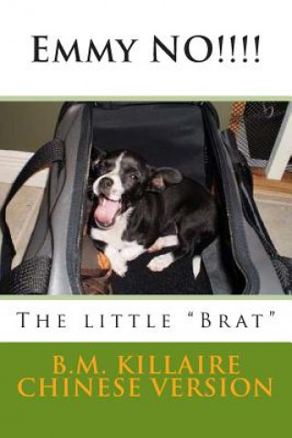Kniha Emmylou No!!!!: The Little "Brat" B M Killaire