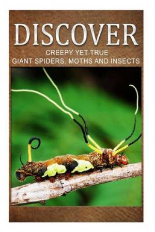 Kniha Creepy Yet True Giant Spiders, Moths and Insects - Discover: Early reader's wildlife photography book Discover Press