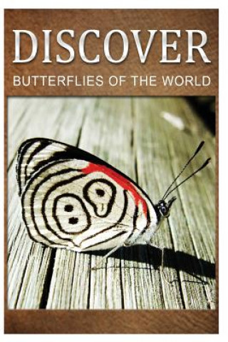 Livre Butterflies Of The World - Discover: Early reader's wildlife photography book Discover Press