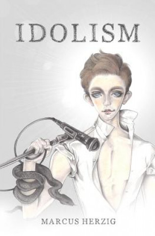 Book Idolism Marcus Herzig