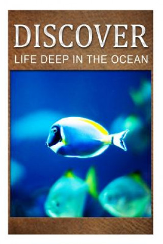 Kniha Life Deep In Ocean - Discover: Early reader's wildlife photography book Discover Press