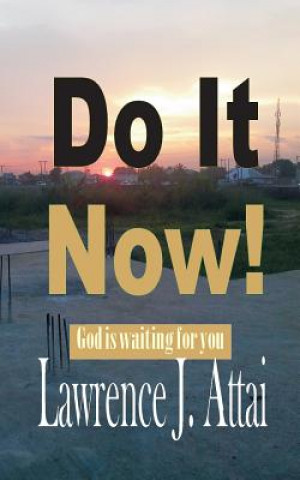 Knjiga Do It Now Lawrence J Attai