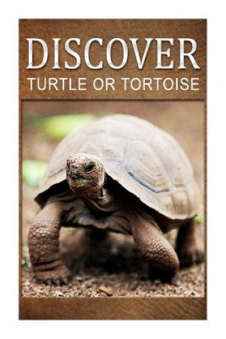 Książka Turtle Or Tortoise - Discover: Early reader's wildlife photography book Discover Press