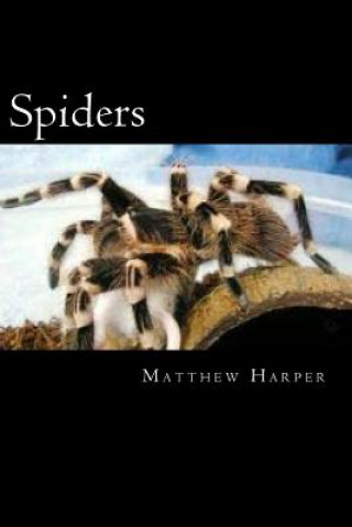 Kniha Spiders: A Fascinating Book Containing Spider Facts, Trivia, Images & Memory Recall Quiz: Suitable for Adults & Children Matthew Harper
