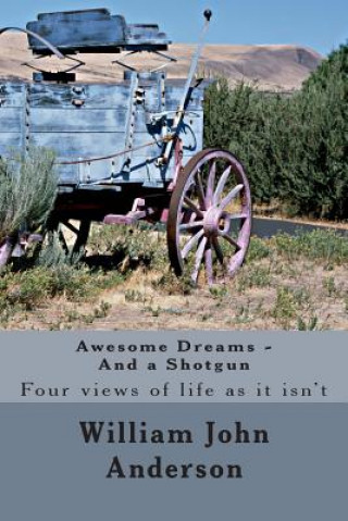 Könyv Awesome Dreams - And a Shotgun: Four views into life as it isn't William John Anderson