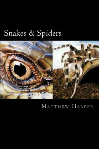 Kniha Snakes & Spiders: Two Fascinating Books Combined Together Containing Facts, Trivia, Images & Memory Recall Quiz: Suitable for Adults & C Matthew Harper