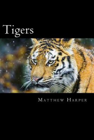 Carte Tigers: A Fascinating Book Containing Tiger Facts, Trivia, Images & Memory Recall Quiz: Suitable for Adults & Children Matthew Harper