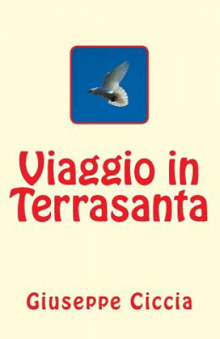 Kniha Viaggio in Terrasanta Giuseppe Ciccia