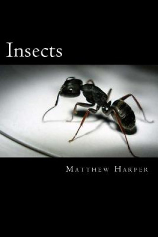 Kniha Insects: A Fascinating Book Containing Insect Facts, Trivia, Images & Memory Recall Quiz: Suitable for Adults & Children Matthew Harper
