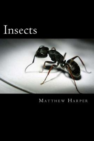 Książka Insects: A Fascinating Book Containing Insect Facts, Trivia, Images & Memory Recall Quiz: Suitable for Adults & Children Matthew Harper