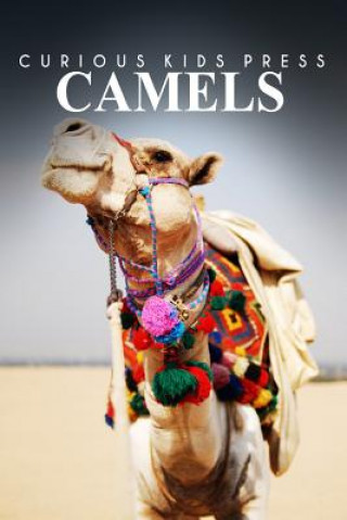 Carte Camels - Curious Kids Press: Kids book about animals and wildlife, Children's books 4-6 Curious Kids Press