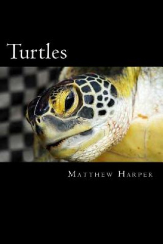 Carte Turtles: A Fascinating Book Containing Turtle Facts, Trivia, Images & Memory Recall Quiz: Suitable for Adults & Children Matthew Harper