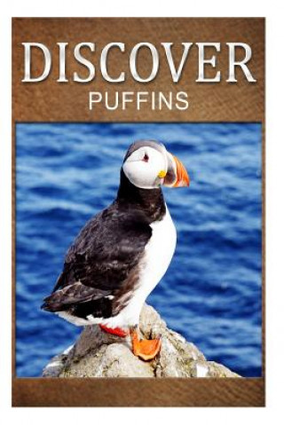 Könyv Puffins - Discover: Early reader's wildlife photography book Discover Press