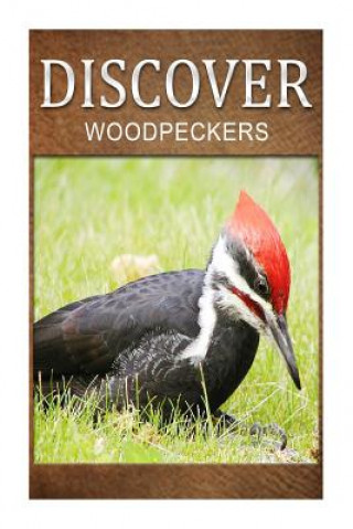 Kniha Woodpeckers - Discover: Early reader's wildlife photography book Discover Press