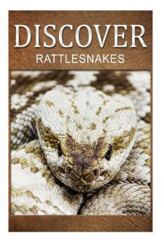 Könyv Rattle Snakes - Discover: Early reader's wildlife photography book Discover Press