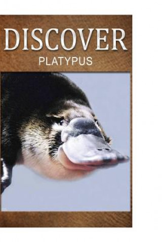 Könyv Platypus - Discover: Early reader's wildlife photography book Discover Press