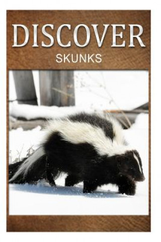 Kniha Skunks- Discover: Early reader's wildlife photography book Discover Press