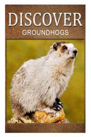 Книга Groundhogs - Discover: Early reader's wildlife photography book Discover Press