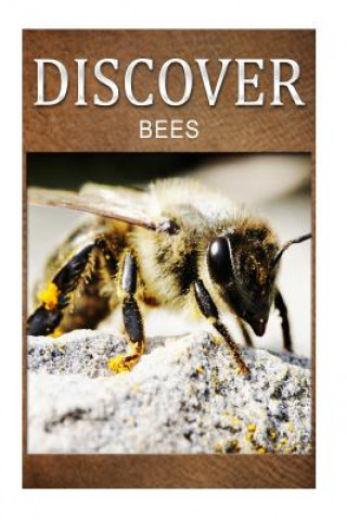 Kniha Bees - Discover: Early reader's wildlife photography book Discover Press