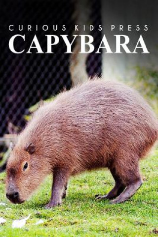 Kniha Capybara - Curious Kids Press: Kids book about animals and wildlife, Children's books 4-6 Curious Kids Press