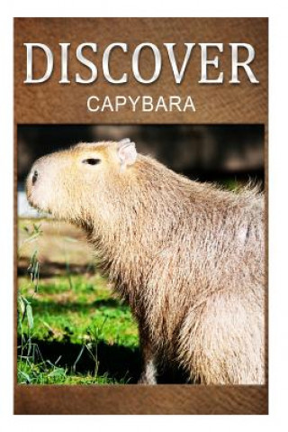 Könyv Capybara - Discover: Early reader's wildlife photography book Discover Press