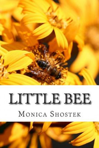 Knjiga Little bee Monica Shostek